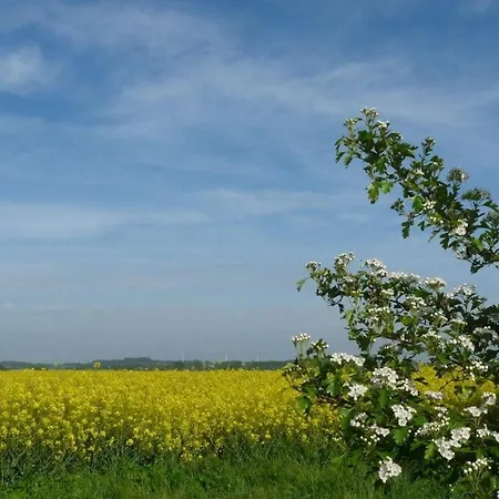 Bounty In The House Of Aquarius * 레리크